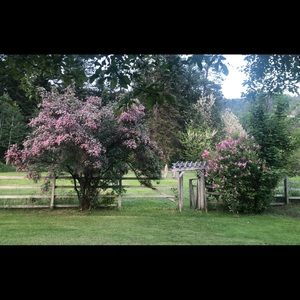 Meet your Posher, Clicy